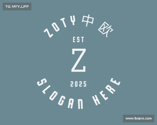 介绍zoty中欧